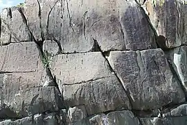 pétroglyphes