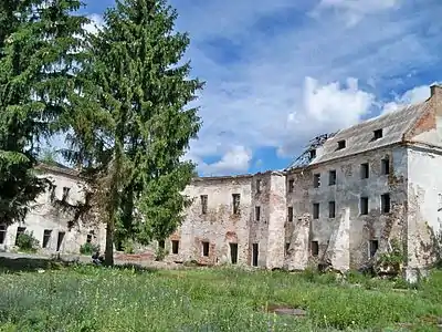 Ruines du château de Klevan.