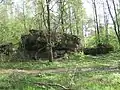 Ruines de bunkers germano-finlandais de la Seconde Guerre mondiale