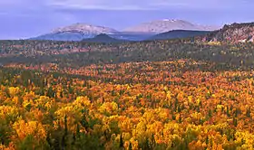 South Ural Zapovednik