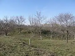 colline fortifiée, classée.