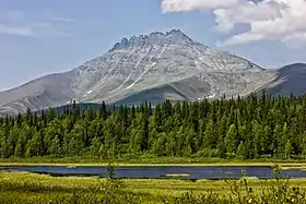 Vue du mont Manaraga en été.