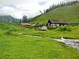 Des oies et des maisons le long de la Kyzyl-Tach.
