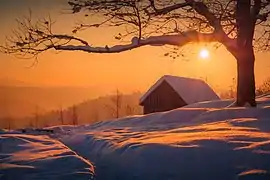 Lever de Soleil dans le parc national des Carpates.