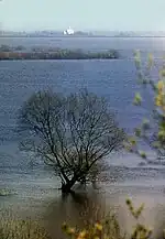 Vue de l'église sur l'île