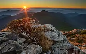 Un soleil bas illumine une infinité de montagnes ; au premier plan, un rocher recouvert d'un arbuste couché sur le sol.