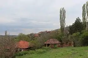 Grizilevtsi