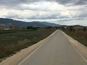 Kroucheani