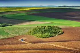 Un tracteur T-150K dans un champ de l'aire protégée de Kasova Hora dans l'oblast d'Ivano-Frankivsk.