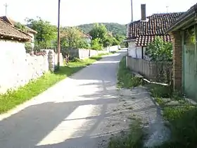 Ribare (Žagubica)