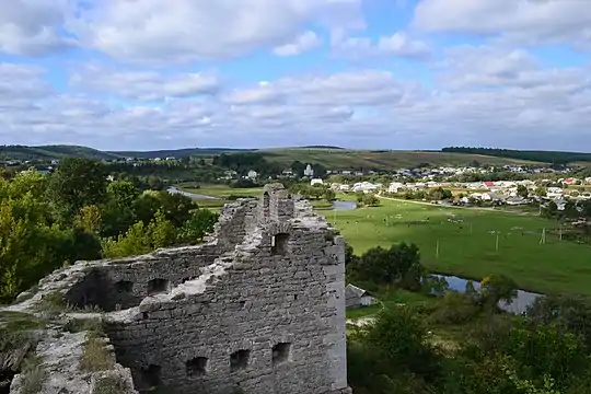 Château et localité de Sataniv.