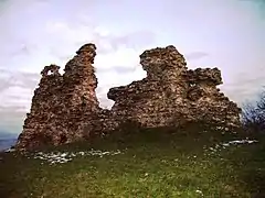 le château de Korolevo, classé, patrimoine national N°178 ;
