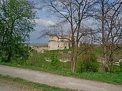 affleurement du silurien, classé et le château de Skala-Podilska,