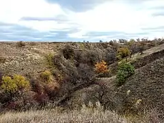 Site de l'âge de pierre à Dronivka.