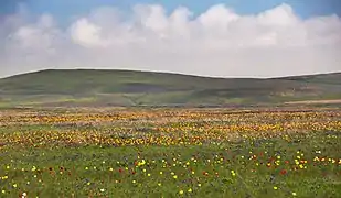 Dans la steppe de Crimée, péninsule de Kertch.