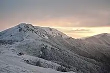 Une moyenne montagne à la limite arbres - alpages.