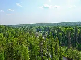 Jerginsky Zapovednik