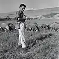 Berger et ses moutons en pâturage, janvier 1945