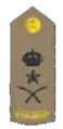général de corps d'armée (arabe : فريق)