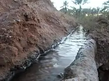 Seguia en Algérie