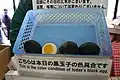 Onsen, œufs noirs à la coque (Miyanoshita onsen).