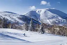 Photo couleur de pentes enneigées d'une montagne.