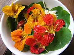 Photographie en couleurs, représentant une salade de fleurs.