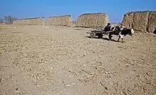 Ruines de l’ancienne capitale du Dai, Xian de Yu, Hebei