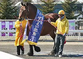 Cheval de ban'ei bai primé au Japon
