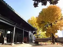 Photo couleur. Entrée de temple aux murs laqués noirs ombragé par un arbre au feuillage jaune orange avec ciel bleu.