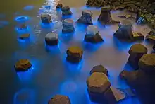 Larmes bleues luminescentes dans les Îles Matsu en Chine orientale