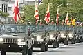 Parade militaire, avec des drapeaux des Forces japonaises d'autodéfense, 2011.