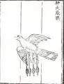 Corbeau volant au feu magique (神火飛鴉 / 神火飞鸦), fusée aérodynamique