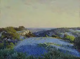 Near San Antonio, 1918, Musée d'Art de San Antonio