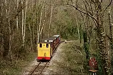 Train jaune et rouge dans une forêt.