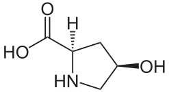 (2R,4R)-4-Hydroxyproline