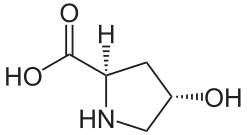 (2R,4S)-4-Hydroxyproline