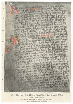 Image illustrative de l’article Codex Regius