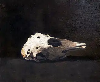 Crâne de mouton, Beauvais, MUDO - Musée de l'Oise.