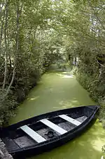 Le Marais poitevin.