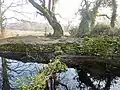 La cache de Cadoudal sur un talus.