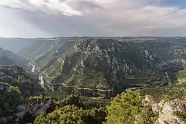 Les gorges du Tarn vues du roc des Hourtous, dans le sud-ouest.