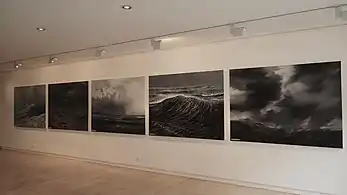 Disaster, suite de 10 peintures, 2010-2013.