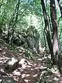 Sentier piétonnier longeant les gorges dans la forêt de Duault.