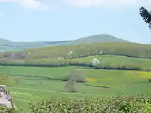 Photo d'un paysage de campagne vallonné composé de champs au premier plan et de bois au second plan sur les coteaux.