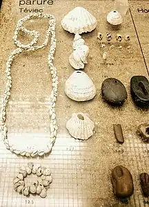 Colliers de coquillages et parures diverses trouvés dans les sépultures de Téviec (Musée de préhistoire de Carnac).