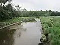 Le ruisseau de la Goden à sa sortie du marais à marée basse.