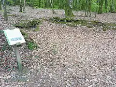 Places de parking pour les véhicules des résistants.