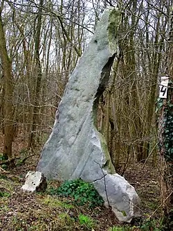 Le menhir dit« la Pierre Longue ».