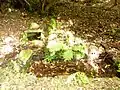 Fontaine dans le parc du château de Kerambleiz